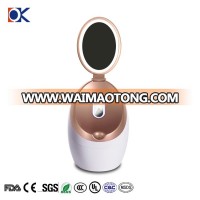 280W Home Use Mini Hot Face Facial Steamer